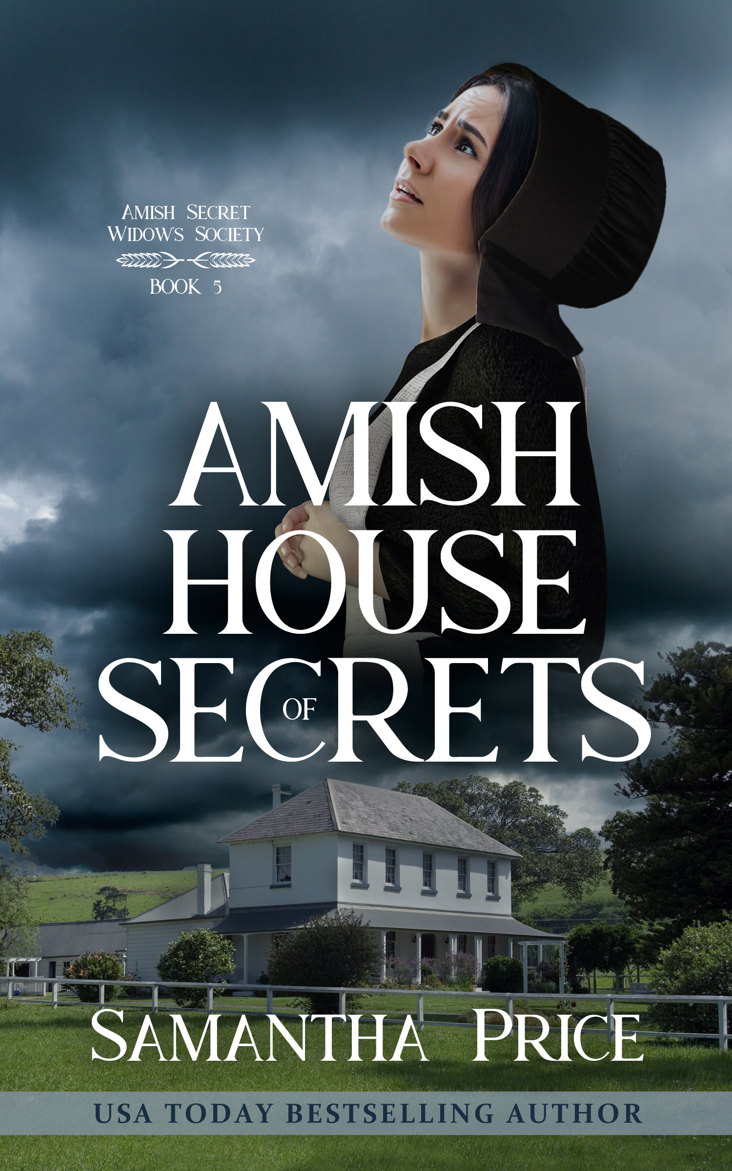 D-AmishHouseofSecrets-Ebook.jpg