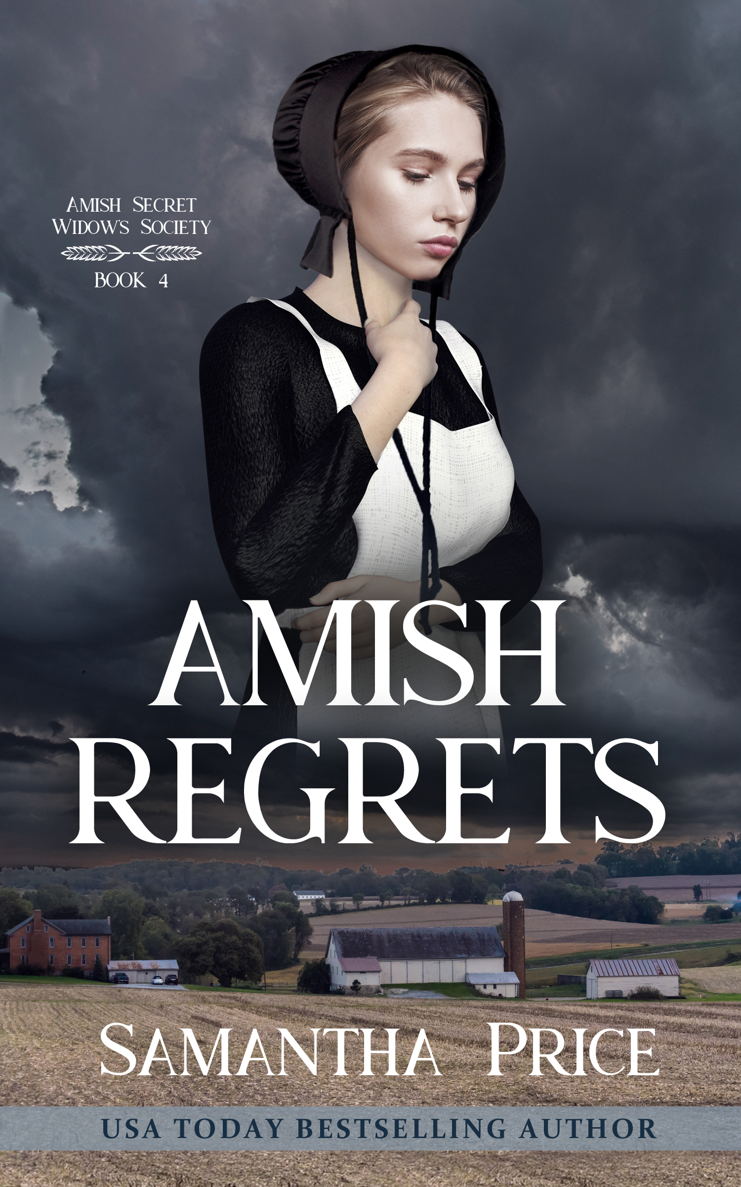 D-AmishRegrets_Ebook.jpg