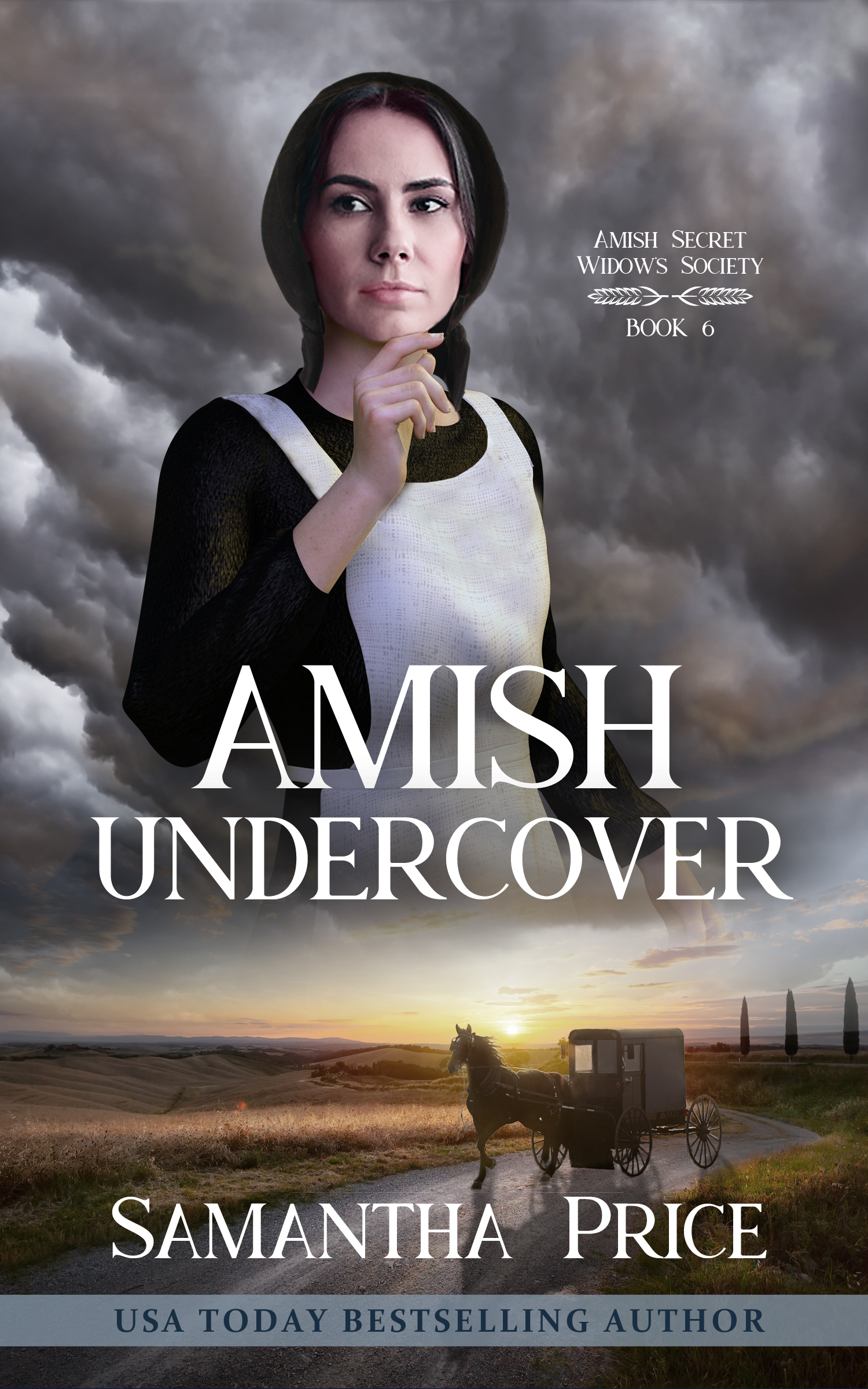 D-AmishUndercover-Ebook.jpg