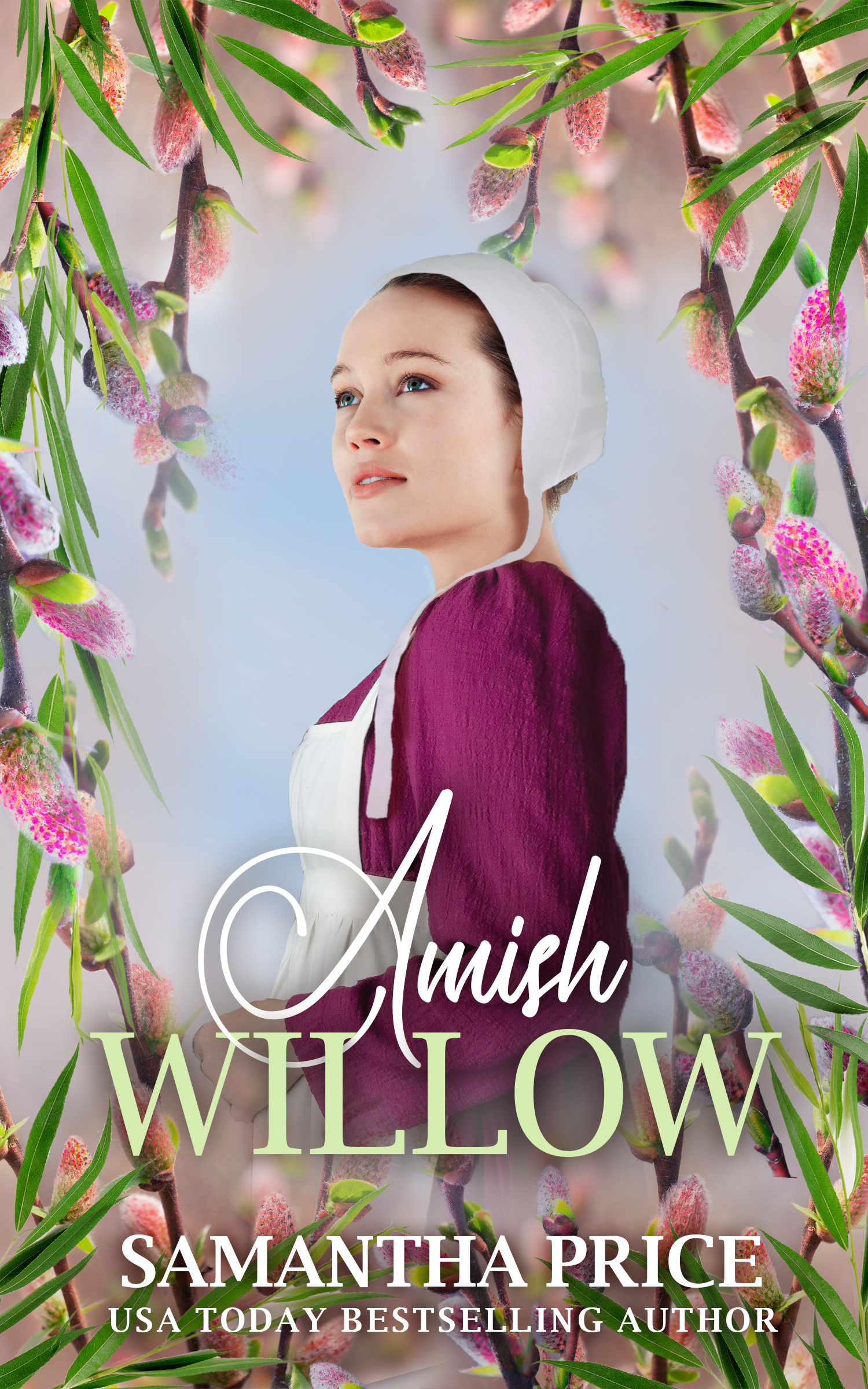 DB-AmishWillow-Ebook.jpg