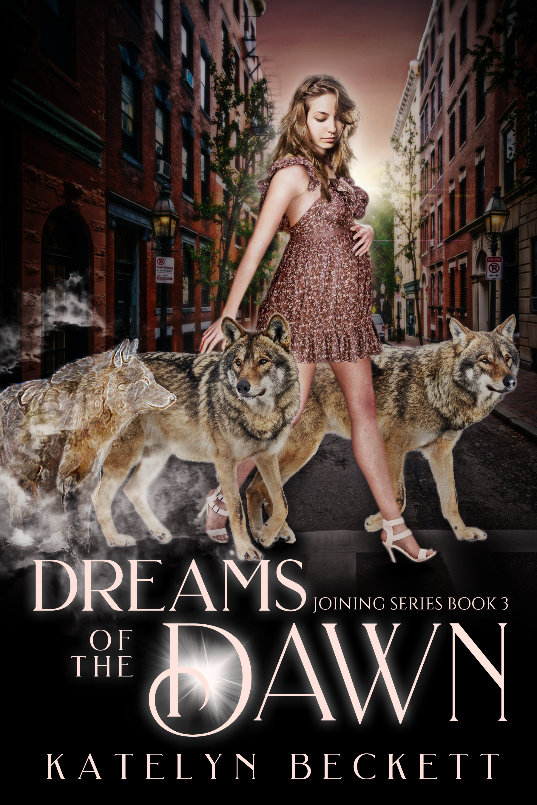 ZL-DreamoftheDawn-Ebook.jpg